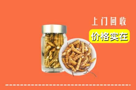 盐亭县回收散虫草