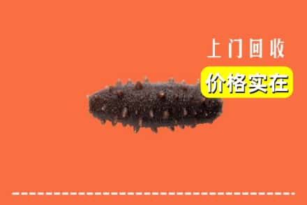 诚信求购:盐亭县高价回收海参