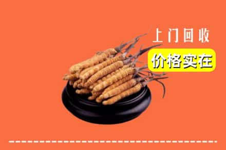 诚信求购:盐亭县高价回收冬虫夏草